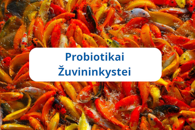 Probiotikai žuvininkystei – mikrobiologinis produktas žuvų sveikatos ir vandens kokybės gerinimui
