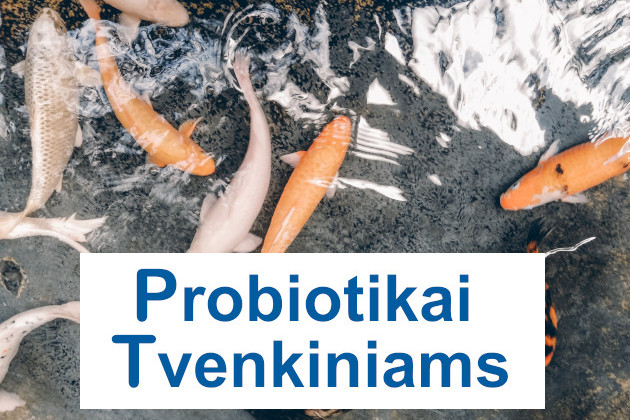 Tvenkinių valymas nuo dumblių ir mikrobiologinės būklės gerinimas – Probiotikai Tvenkiniams