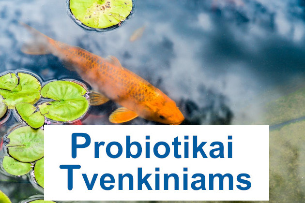 Tvenkinių valymas nuo dumblių, vandens telkinių mikrobiologinės būklės gerinimas probiotikais