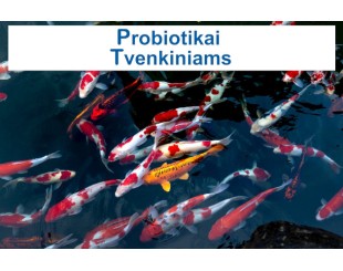 Tvenkinių valymas nuo dumblių ir mikrobiologinės būklės gerinimas – Probiotikai Tvenkiniams