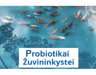 Probiotikai Žuvininkystei, Probiotikai Akvariumams, Probiotikai Nuotekoms