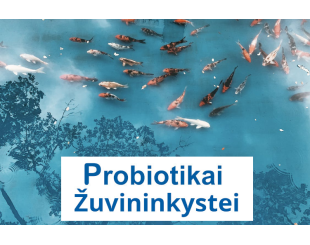 Probiotikai Žuvininkystei, Probiotikai Akvariumams, Probiotikai Nuotekoms Probiotikai Žuvininkystei, Probiotikai Akvariumams, Probiotikai Nuotekoms